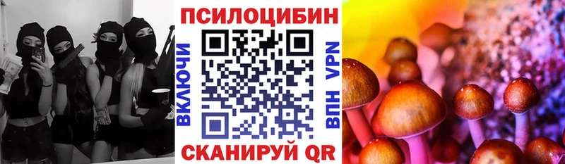 Псилоцибиновые грибы Psilocybe  Кущёвская 